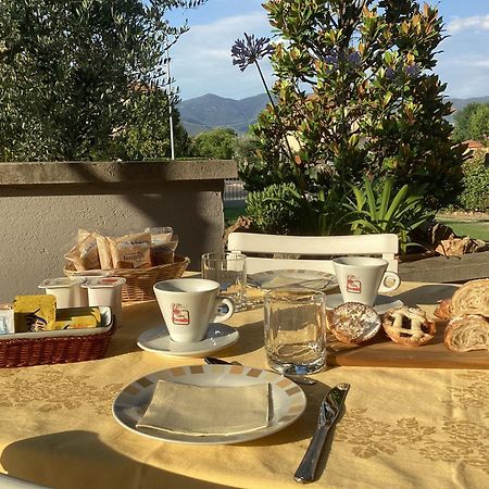 Villa Orsini - A Retreat In Pisa - Food And Relax Eksteriør billede